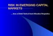 1 RISK IN EMERGING CAPITAL MARKETS …from a Global Tactical Asset Allocation Perspective