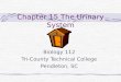Chapter 15 The Urinary System Biology 112 Tri-County Technical College Pendleton, SC