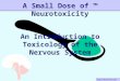Intro Neurotoxicity – 5/7/04 A Small Dose of ™ Neurotoxicity An Introduction to Toxicology of the Nervous System