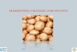 MARKETING CHANNEL FOR POTATO NextEnd. MARKETING CHANNEL FOR POTATO Introduction India's production of potato is about 224 lakh MT. The production is largely