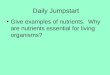 Daily Jumpstart Give examples of nutrients. Why are nutrients essential for living organisms?