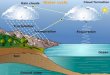 The Water Cycle Essential Question: How does water change state and move around on Earth? Purpose: 1. Describe the water cycle. 2. Describe the different