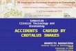 ACCIDENTS CAUSED BY CROTALUS SNAKES - Symposium - Clinical Toxinology and Envenoming BENEDITO BARRAVIERA Professor Titular de Infectologia da UNESP Pesquisador