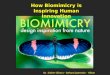 By : Esther Olivera - Stefany Dazevedo - Nilton. Biomimicry or biomimetics is the examination of Nature, its models, systems, processes, and elements