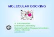 MOLECULAR DOCKING V. Subramanian Chemical Laboratory Central Leather Research Institute Adyar, Chennai subbu@clri.info