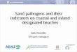 Sand pathogens and their indicators on coastal and inland designated beaches João Brandão (Project manager)