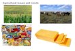 Agricultural issues and trends. Corn based ethanol in the United States