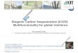 1 Institute for Advanced Sustainability Studies e.V. Potsdam, 20.03.2014 Biogenic Carbon Sequestration (tCDR): Multifunctionality for global resilience