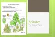 BOTANY The Study of Plants. Part 1: Classifying Plants