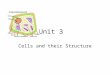 Unit 3 Cells and their Structure. Levels of Organization