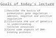 Goals of today’s lecture 1)Describe the basics of prokaryotic gene regulation -operons, negative and positive regulation 2)Illustrate the use of genetics