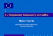 EU Regulatory framework on GMOs Marco Valletta DG Health and Consumer Protection European Commission