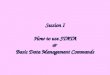 Session I How to use STATA & Basic Data Management Commands