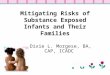 Mitigating Risks of Substance Exposed Infants and Their Families Dixie L. Morgese, BA, CAP, ICADC