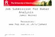James Cunha Wernerjamwer@hep.man.ac.uk Job Submission for Babar Analysis James Werner Resources: 