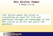 3 His divine power has given us everything we need for life and godliness through our knowledge of him who called us by his own glory and goodness. His