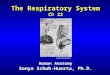The Respiratory System Ch 22 Human Anatomy Sonya Schuh-Huerta, Ph.D. Leonardo Da Vinci