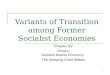 1 Variants of Transition among Former Socialist Economies Chapter XV China’s Socialist Market Economy: The Sleeping Giant Wakes