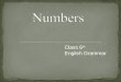 Class 6 th English Grammar. Singular Number Plural