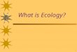 1 What is Ecology?. 2 The study of the interactions between organisms and the living and nonliving components of their environment--- INTERDEPENDENCE