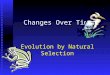 Changes Over Time Evolution by Natural Selection