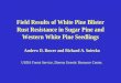 Field Results of White Pine Blister Rust Resistance in Sugar Pine and Western White Pine Seedlings Andrew D. Bower and Richard A. Sniezko USDA Forest Service,