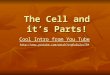 The Cell and it’s Parts! Cool Intro from You Tube Cool Intro from You Tube 