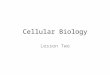 Cellular Biology Lesson Two. Cellular Biology Focuses on understanding living process at a molecular level Cellular biology has opened up new discoveries