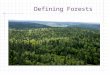 Defining Forests. Common Core/Next Generation Science Standards Addressed! MS ‐ LS2 ‐ 1.- Analyze and interpret data to provide evidence for the effects
