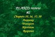 PLANTS review #2 Chapters 35, 36, 37, 39 Anatomy Transport Nutrition Response