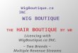 Licencing with WigBoutique.ca INC. ~ Two Brands ~ Multiple Revenue Streams WigBoutique.ca INC