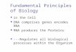 Fundamental Principles of Biology in the Cell DNA comprises genes encodes RNA RNA produces the Proteins ---Regulates all biological processes within the