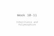 Week 10-11 Inheritance and Polymorphism. Introduction Classes allow you to modify a program without really making changes to it. To elaborate, by subclassing