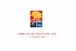 PROMOTION AND ADVERTISING PLAN 13 December 2006. LOCAL AND REGIONAL