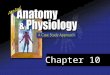 Chapter 10. Chapter 10 – The Respiratory System Applied Learning Outcomes Use the terminology associated with the respiratory system Learn about the following: