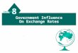 Government Influence On Exchange Rates 8 8 Lecture