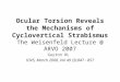 Ocular Torsion Reveals the Mechanisms of Cyclovertical Strabismus The Weisenfeld Lecture @ ARVO 2007 Guyton DL IOVS, March 2008, Vol 49 (3):847 - 857