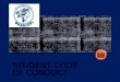 STUDENT DISCIPLINE  It is the responsibility of each student to conduct themselves in accordance to BISD’s Student Code of Conduct and Stell MS rules,