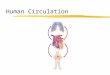 Human Circulation. The Need for Circulation zAll living things must be able to supply their cells with materials from the surrounding environment (Ex
