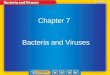 Chapter 7 Bacteria and Viruses. Chapter 7 Lesson 2 Bacteria in Nature