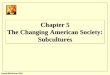 Irwin/McGraw-Hill Chapter 5 The Changing American Society: Subcultures