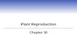 Plant Reproduction Chapter 30. Reproductive Structures of Flowering Plants  Flowers are the reproductive shoots of angiosperm sporophytes  Spores that