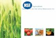 Preparing for the Food Safety Modernization Act. Agenda 1.Introduction to the Food Safety Modernization Act (FSMA) 2.Common Non-Conformances a)PrimusGFS