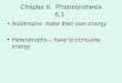 Chapter 6 Photosynthesis 6.1 Autotrophs- make their own energy Heterotrophs – have to consume energy