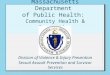 Massachusetts Department of Public Health: Community Health & Prevention Division of Violence & Injury Prevention Sexual Assault Prevention and Survivor