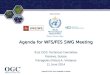 ® Sponsored by Agenda for WFS/FES SWG Meeting 91st OGC Technical Committee Geneva, Suisse Panagiotis (Peter) A. Vretanos 11 June 2014 Copyright © 2014