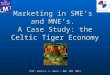 Marketing in SME’s and MNE’s. A Case Study: the Celtic Tiger Economy Prof. Gavin K. L. Davis – BBS MBS MMII