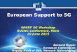 Bernard Barani European Commission Deputy Head of Unit, Network Technologies European Support to 5G WWRF 5G Workshop EUCNC Conference, Paris 29 June 2015