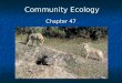 Community Ecology Chapter 47. Outline Diversity and Composition Models Diversity and Composition Models Island Biogeography Island Biogeography Habitat