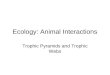 Ecology: Animal Interactions Trophic Pyramids and Trophic Webs